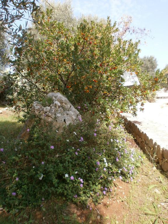 Trullo Villa Giuliana Con Giardino Posizione Panoramica Free Wifi 오스투니 외부 사진