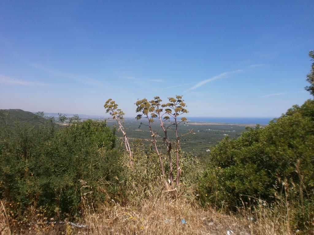 Trullo Villa Giuliana Con Giardino Posizione Panoramica Free Wifi 오스투니 객실 사진