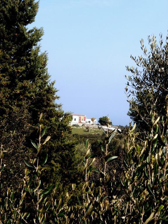Trullo Villa Giuliana Con Giardino Posizione Panoramica Free Wifi 오스투니 객실 사진